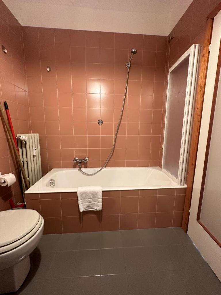 Alpine Dream Apartments Bormio Dış mekan fotoğraf